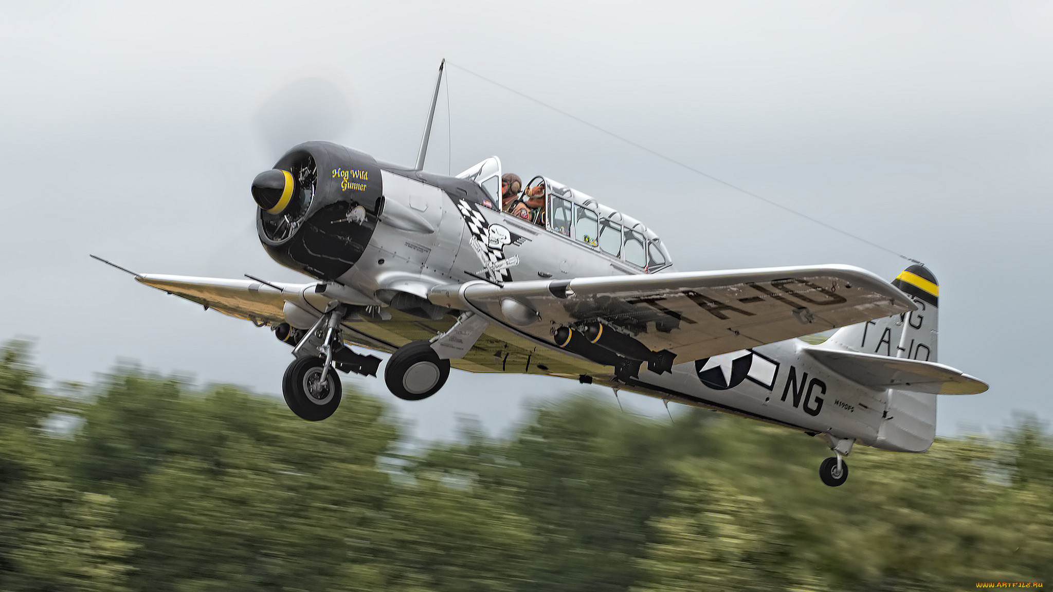 north american t-6d texan, ,  , 